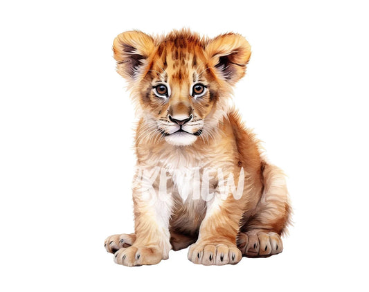 Watercolor Baby Lion Clipart