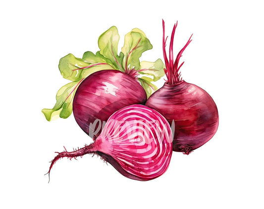 Watercolor Beet Clipart