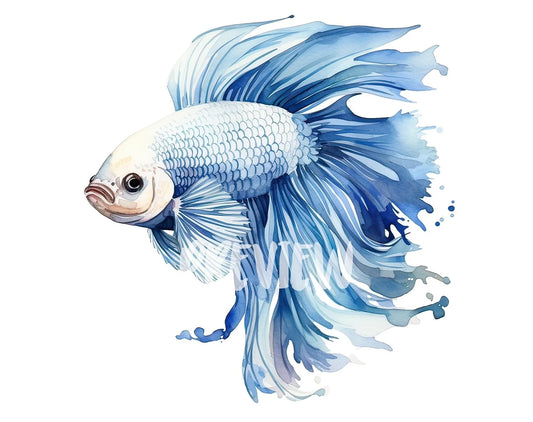 Watercolor Betta Fish Clipart