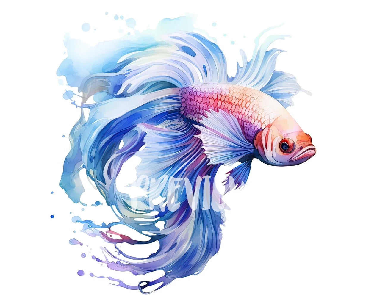 Watercolor Betta Fish Clipart