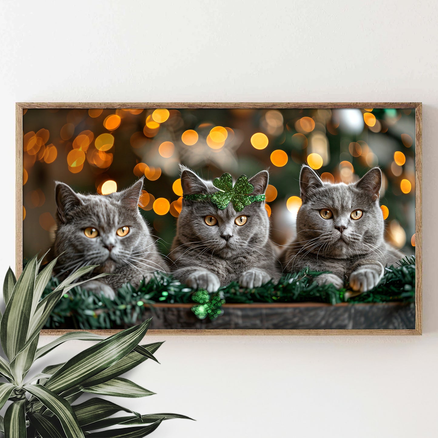 Adorable British Shorthair St. Patrick's Day Frame TV Art Wallpaper