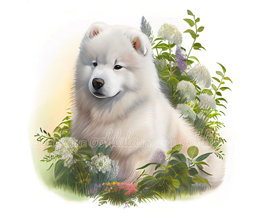 Samoyed Puppy Digital Watercolor Clipart