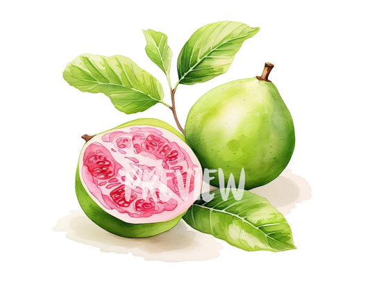 Watercolor Guava Clipart