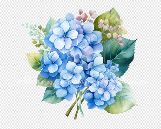 Watercolor Blue Hydrangea Clipart