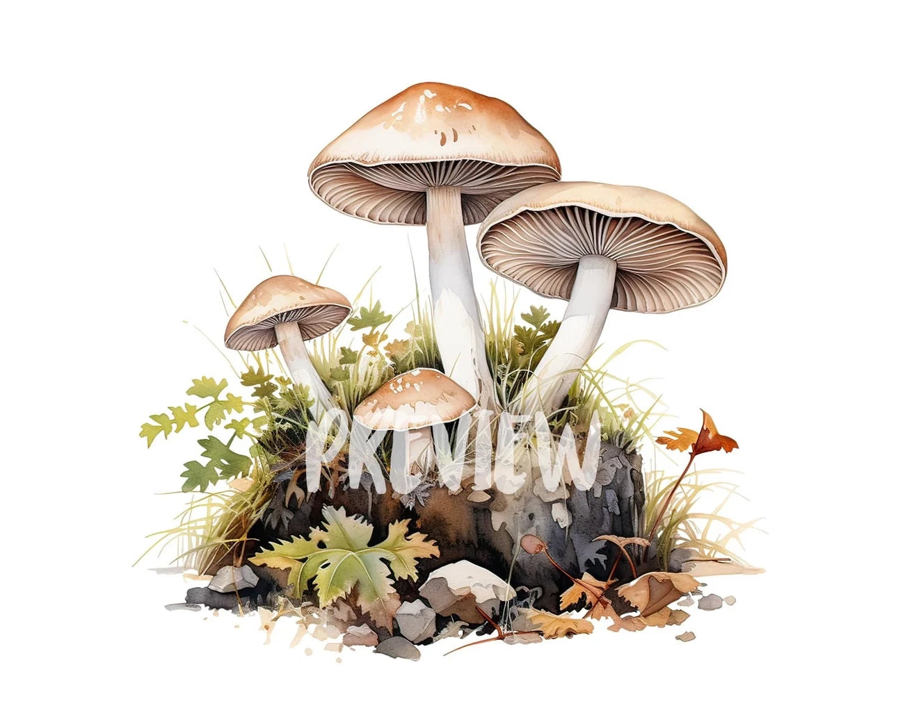 Botanical Minimalist Mushrooms Clipart