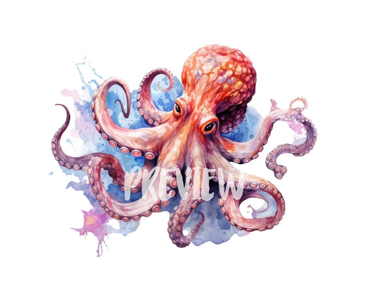 Octopus Watercolor Clipart