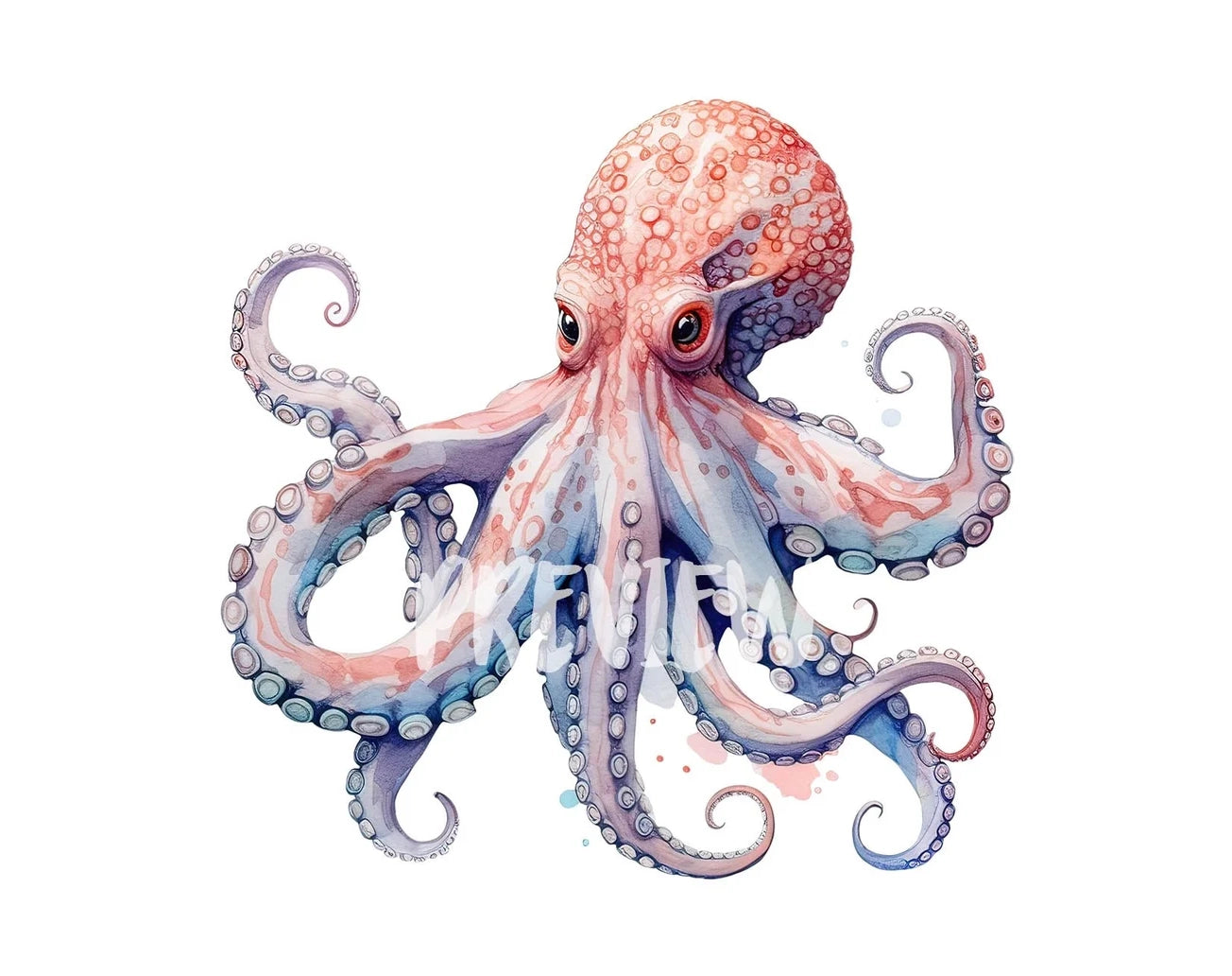 Octopus Watercolor Clipart
