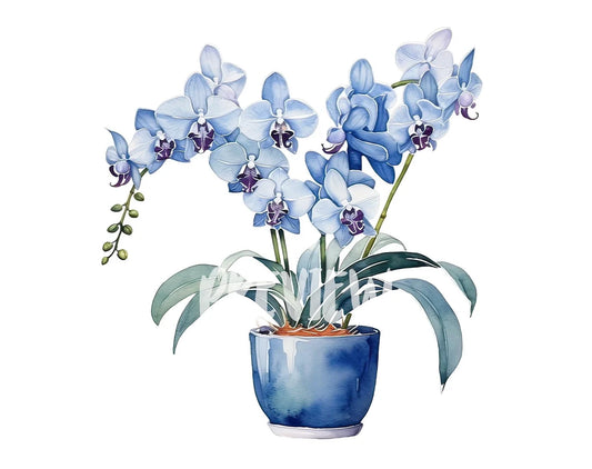 Orchid in a Pot watercolor Clipart