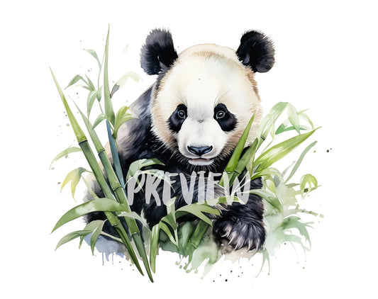 Watercolor Panda Bear Clipart