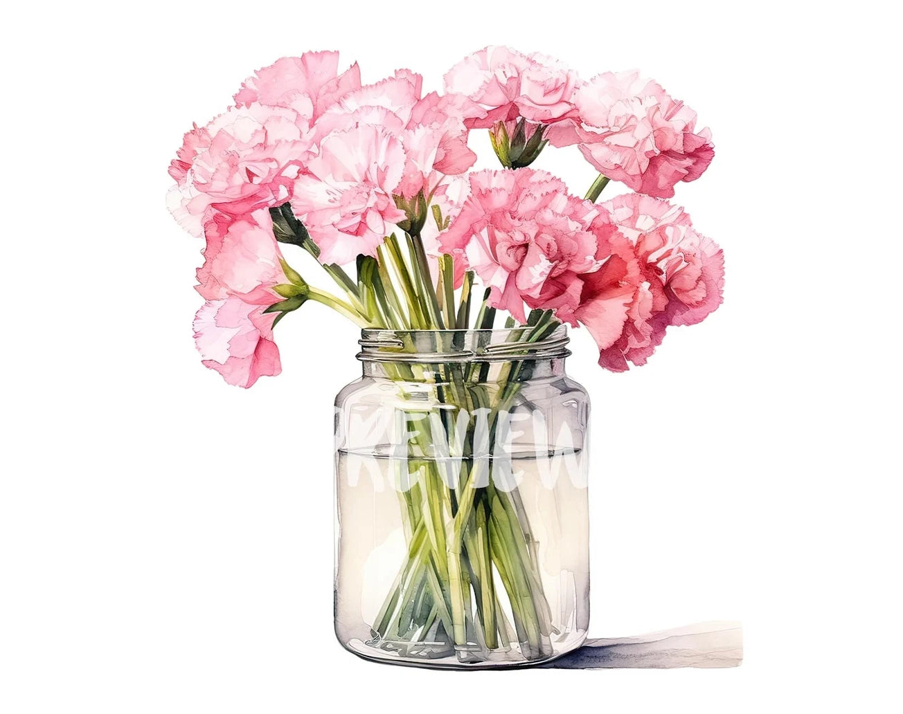 Watercolor Pink Carnation Clipart - Birth Flower January