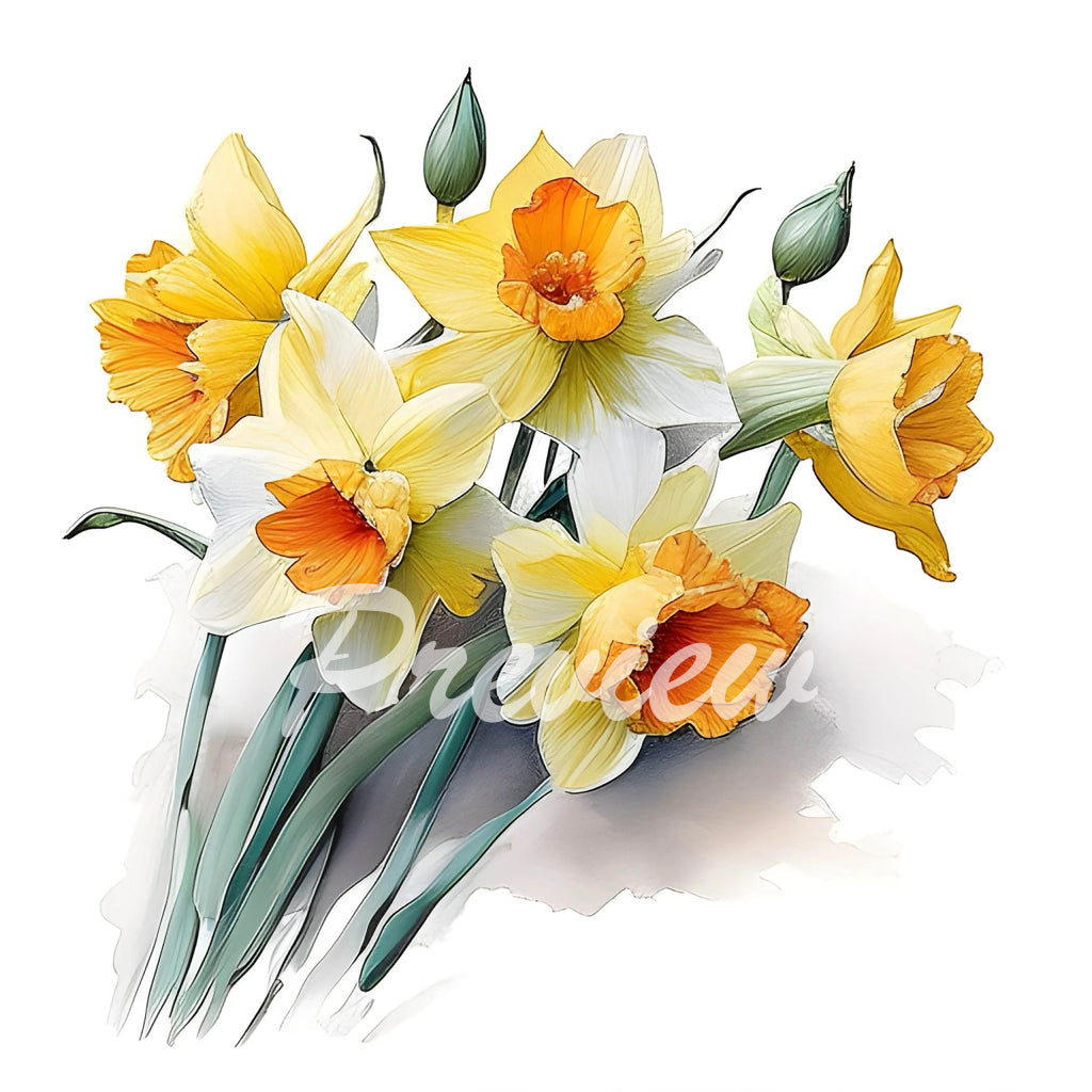 Daffodil Flowers Watercolor Digital Download