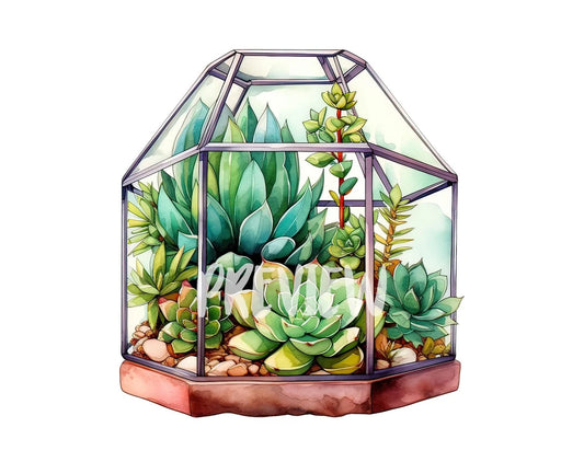 Succulent Terrarium Watercolor Clipart