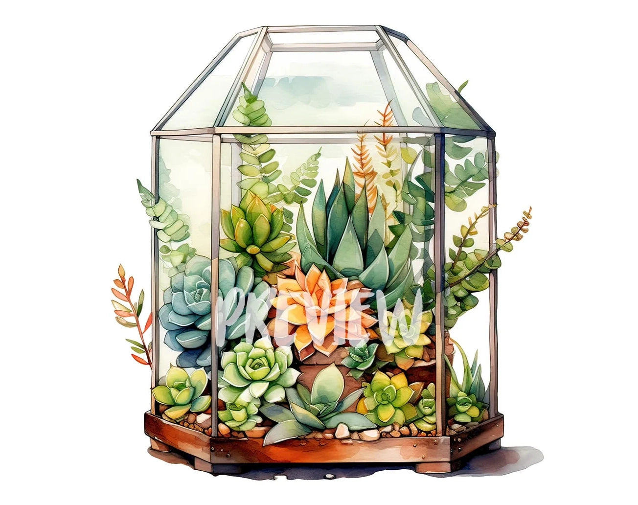 Succulent Terrarium Watercolor Clipart
