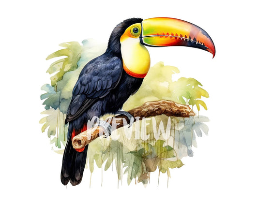 Watercolor Toucan Clipart