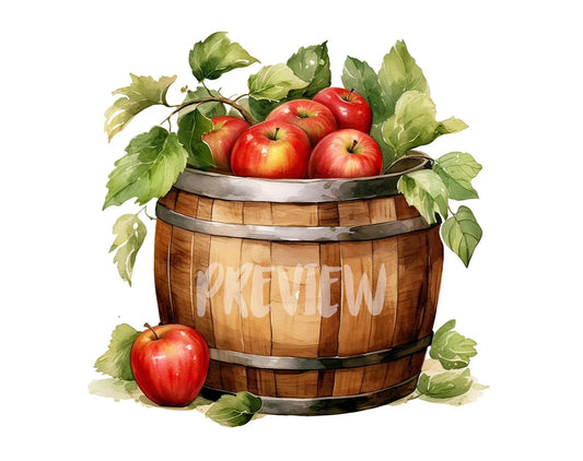 Watercolor Apple Barrel illustration