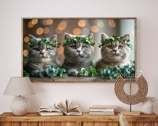 Cute British Shorthair St. Patrick's Day Frame TV Art Wallpaper