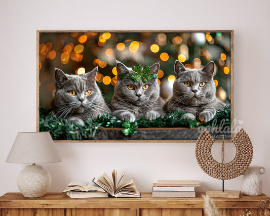 Adorable British Shorthair St. Patrick's Day Frame TV Art Wallpaper