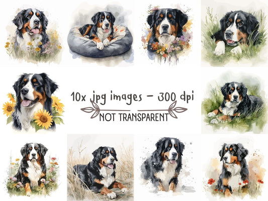 Bernese Mountain Dog Watercolor Clipart