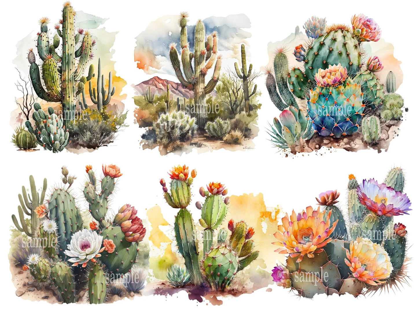 Southwest Cactus Clipart Desert Graphics