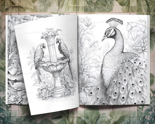 Exotic Birds Coloring Book, Tropical Birds, Adults Kids Coloring Pages Printable PDF