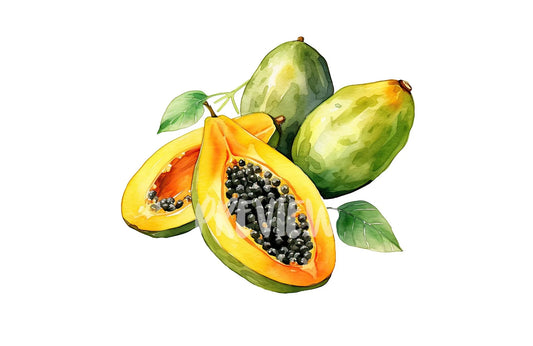 Watercolor Papaya Clipart