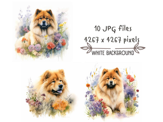 Watercolor Chow Chow Clipart