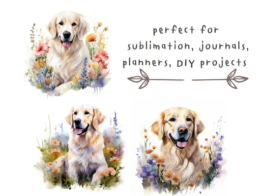 Golden Retriever Watercolor Clipart