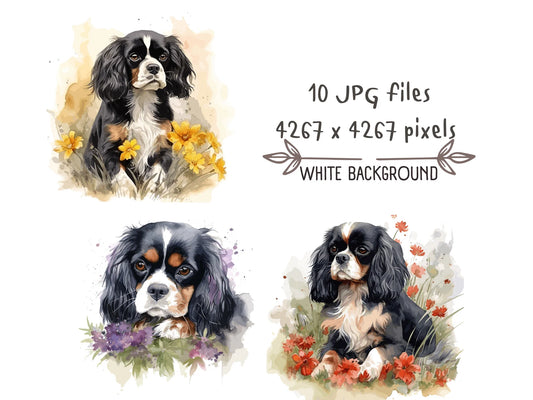 Cavalier King Charles Spaniel Watercolor Clipart