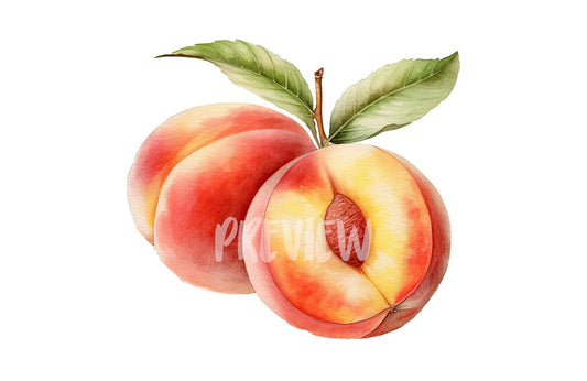 Watercolor Peaches Clipart