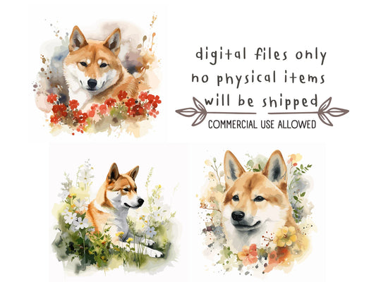 Shiba Inu Watercolor Clipart