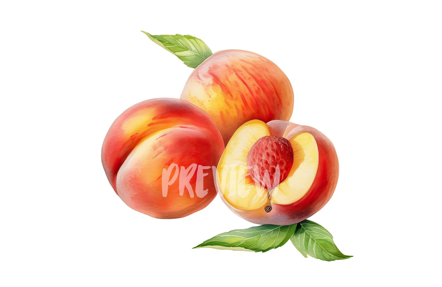Watercolor Peaches Clipart