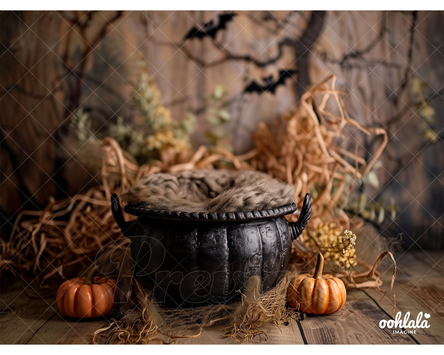 Newborn Halloween Digital Backdrop