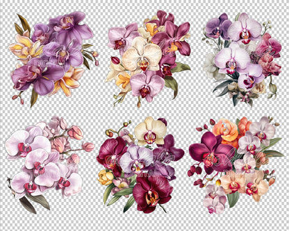 Orchid 6 Bouquets Transparent PNG