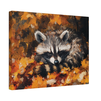 Sleeping Baby Raccoon in Autumn – 5:4 Ratio Canvas Wall Art