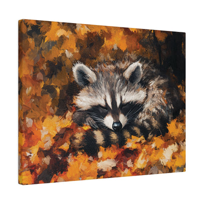 Sleeping Baby Raccoon in Autumn – 5:4 Ratio Canvas Wall Art