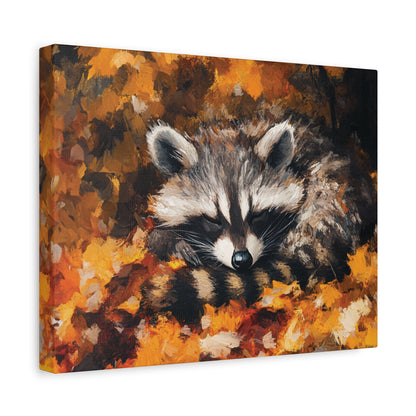 Sleeping Baby Raccoon in Autumn – 5:4 Ratio Canvas Wall Art