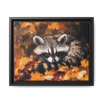 Sleeping Baby Raccoon in Autumn – 5:4 Ratio Canvas Wall Art