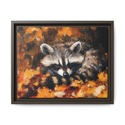 Sleeping Baby Raccoon in Autumn – 5:4 Ratio Canvas Wall Art