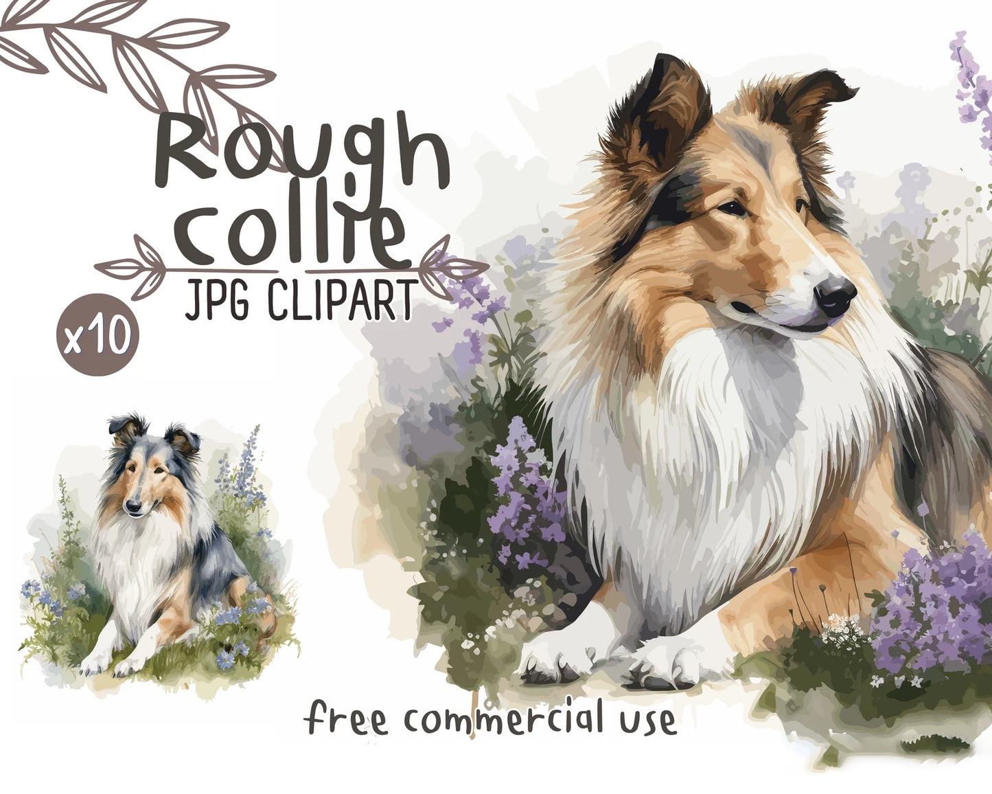 Rough Collie Watercolor Clipart