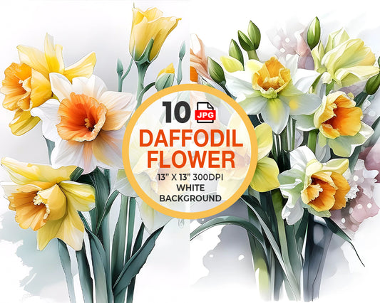 Daffodil Flowers Watercolor Digital Download