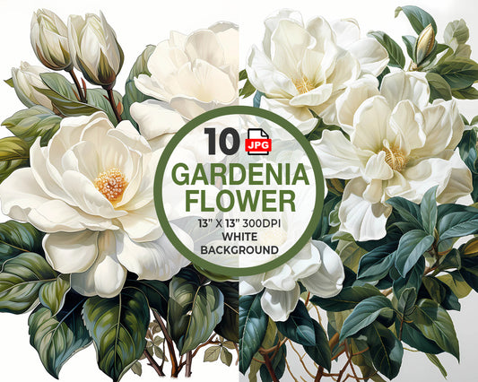 Gardenia Flowers Watercolor Digital Download