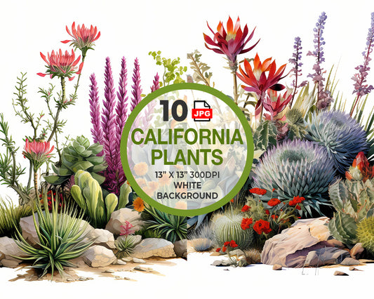 California Native Plants Watercolor Digital Download