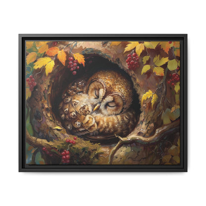 Sleeping Baby Tawny Owl in Autumn – 5:4 Ratio Canvas Wall Art