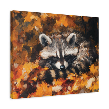 Sleeping Baby Raccoon in Autumn – 5:4 Ratio Canvas Wall Art