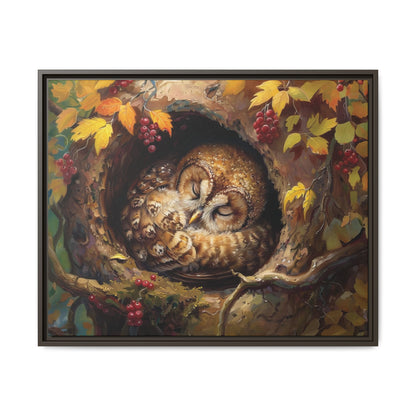 Sleeping Baby Tawny Owl in Autumn – 5:4 Ratio Canvas Wall Art