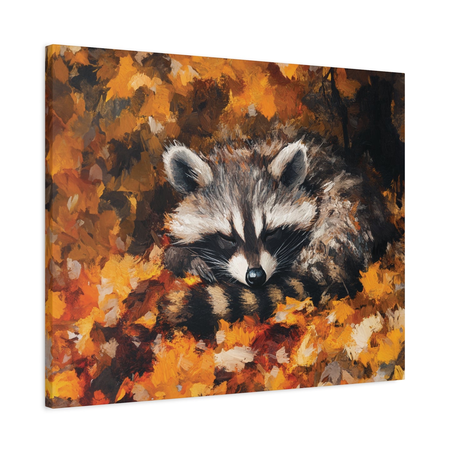 Sleeping Baby Raccoon in Autumn – 5:4 Ratio Canvas Wall Art