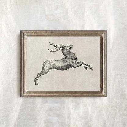 Antique Deer Sketch Wall Art Christmas Poster