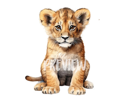 Watercolor Baby Lion Clipart