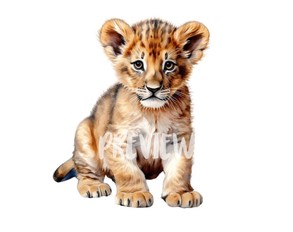 Watercolor Baby Lion Clipart