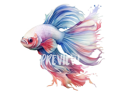 Watercolor Betta Fish Clipart